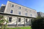 The Millfields